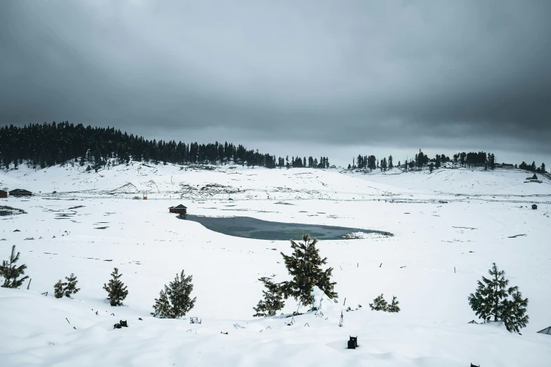 a snow covered field with trees in the background