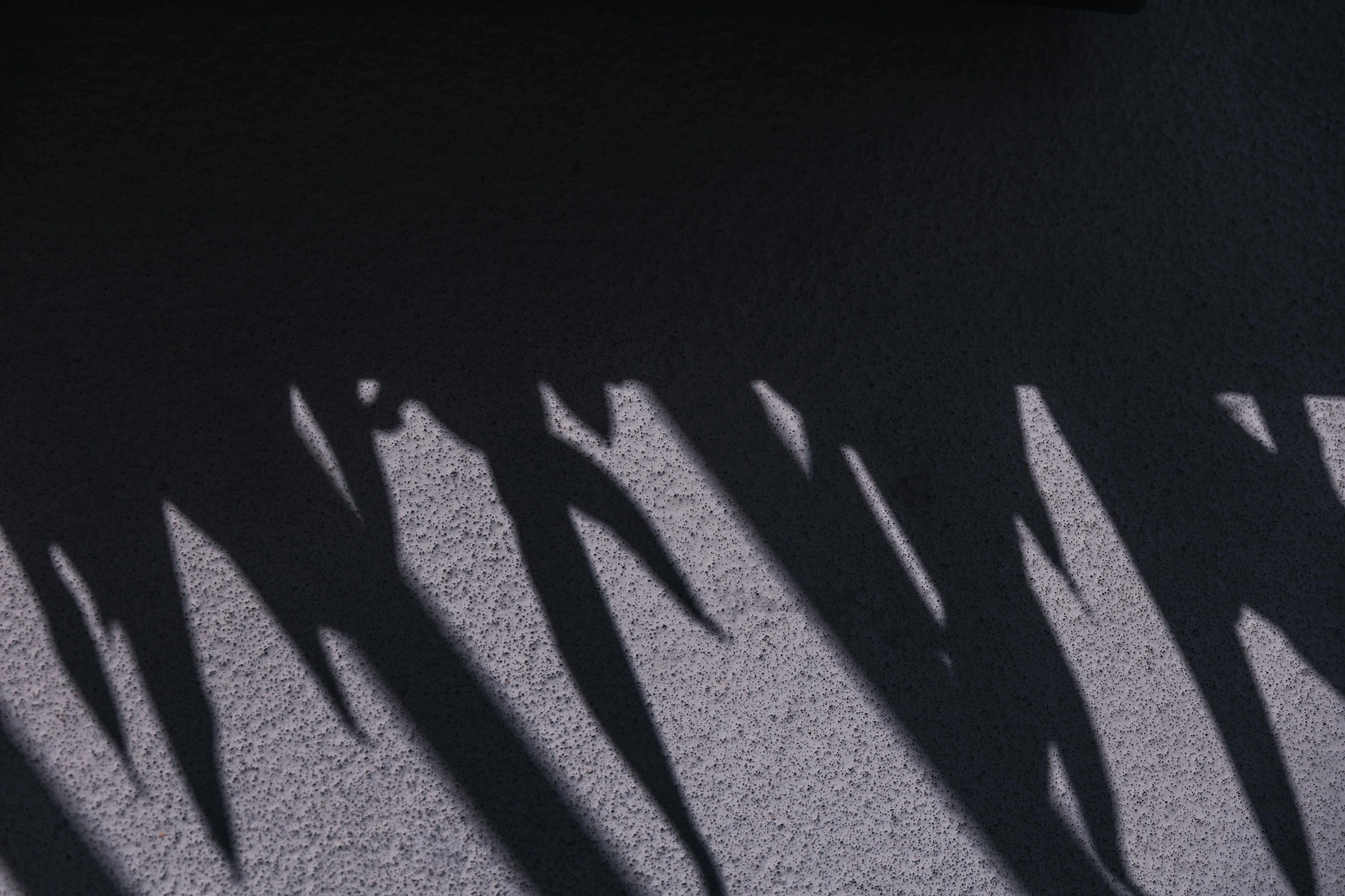 a black and white po of four people casting shadow