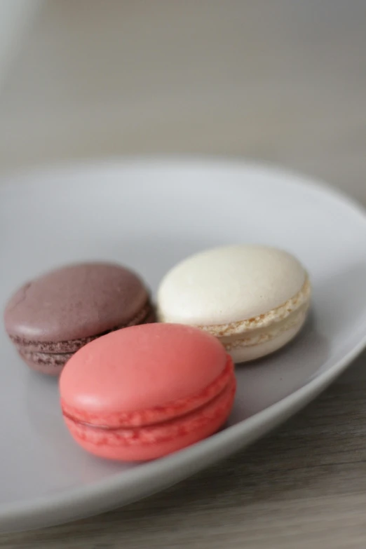 a closeup of three macaroons on a white plate