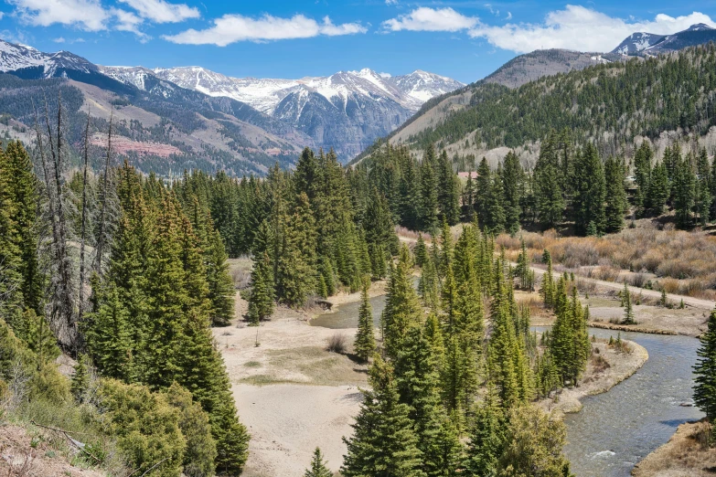 a valley in the mountains with trees and snow