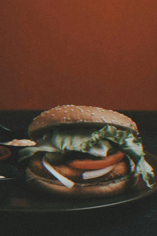 a plate of food with a hamburger on it