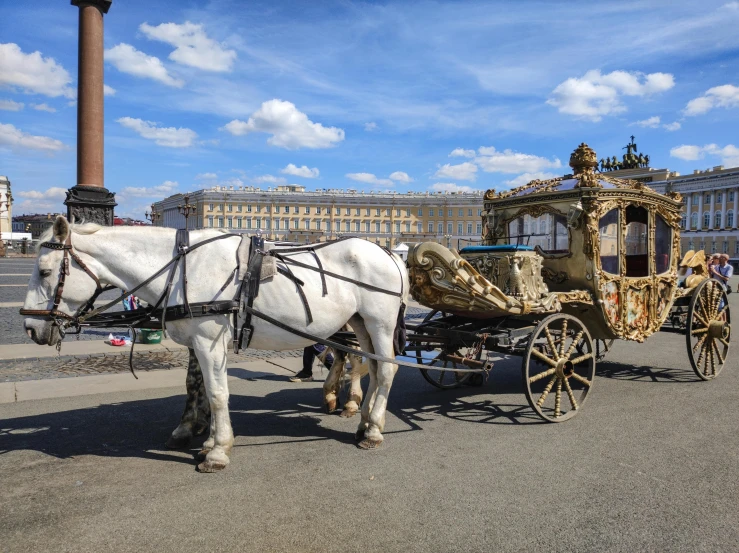 a white horse that is standing in the street