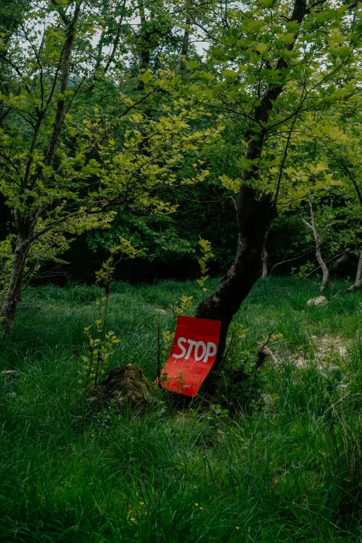 a red stop sign is leaning against a tree