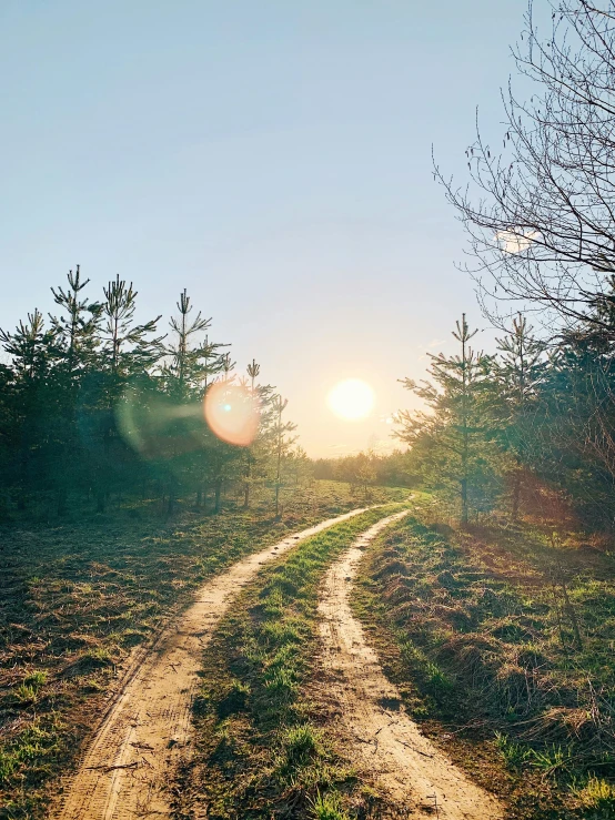 a sun shining through trees above a dirt path