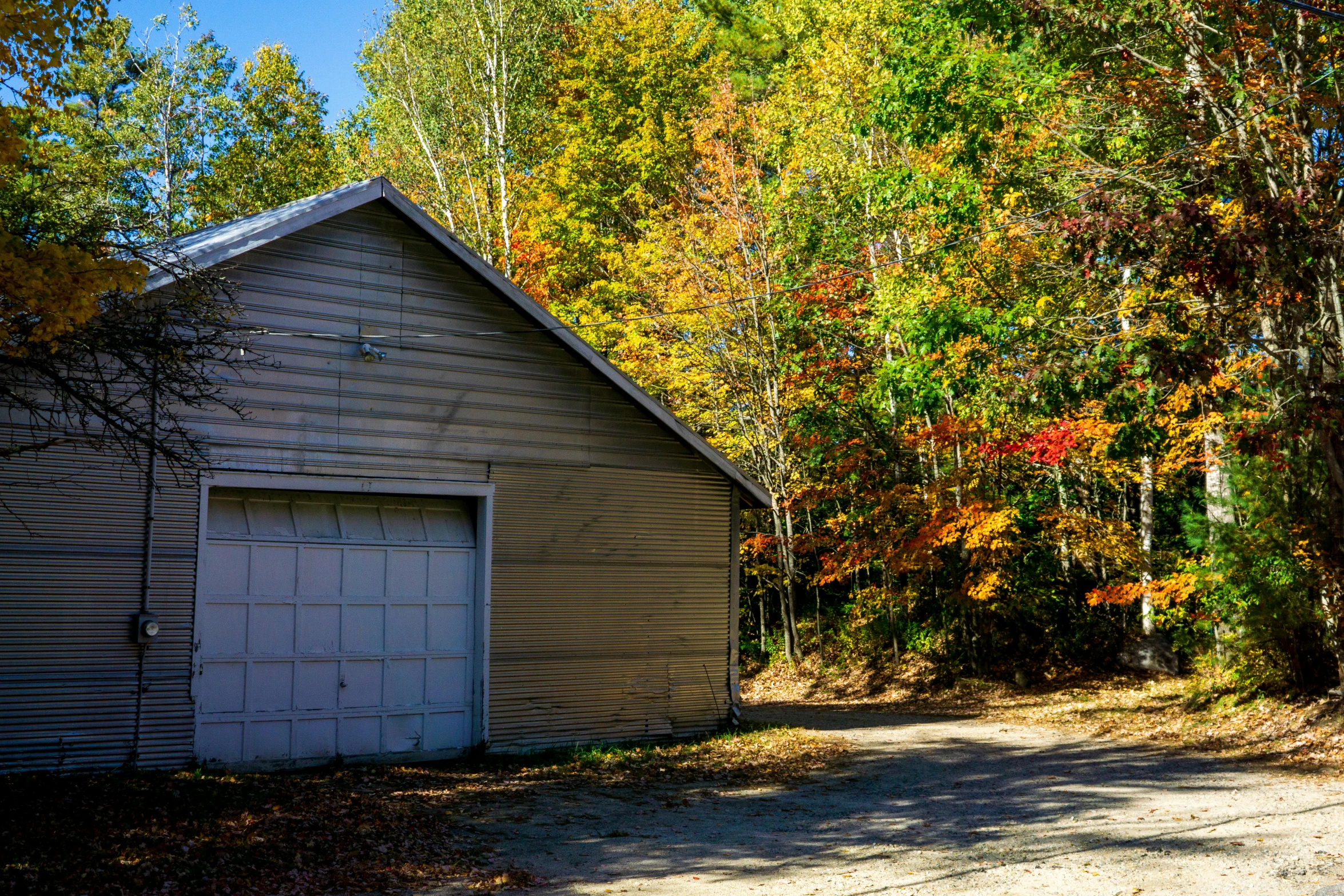 a garage in the fall with trees and leaves in the background