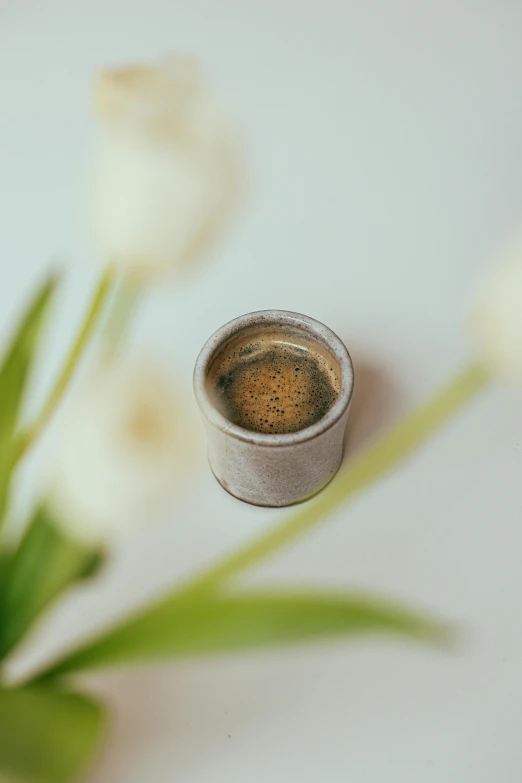 a small flower with white flowers in the background