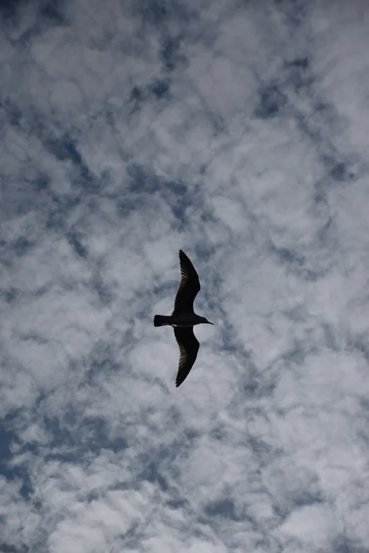 an airplane flying through a cloudy blue sky