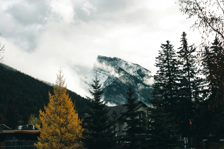 a snowy mountain with trees surrounding it