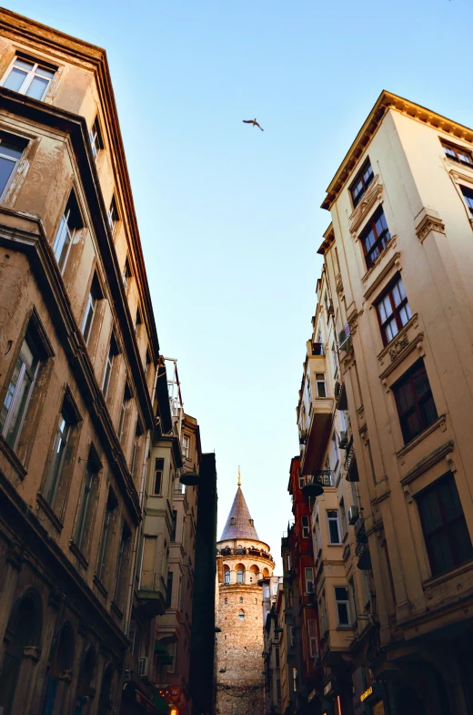 a bird flying over a couple of tall buildings