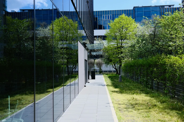 glass wall on the street reflecting trees and building