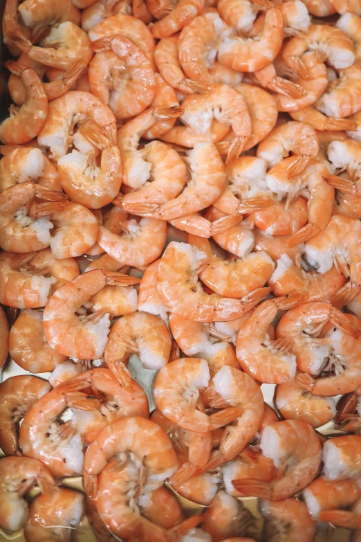 a pile of large orange shrimp on a plate