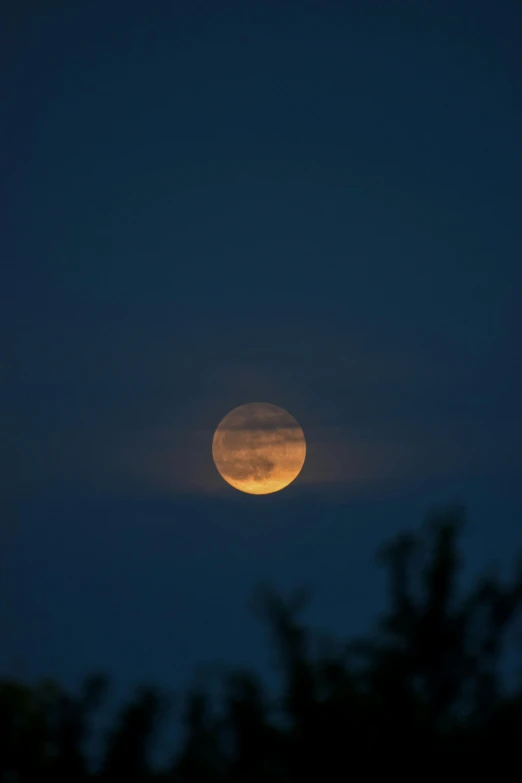 the moon is visible over some trees