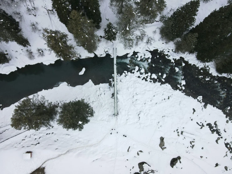 a aerial view of some trees and water