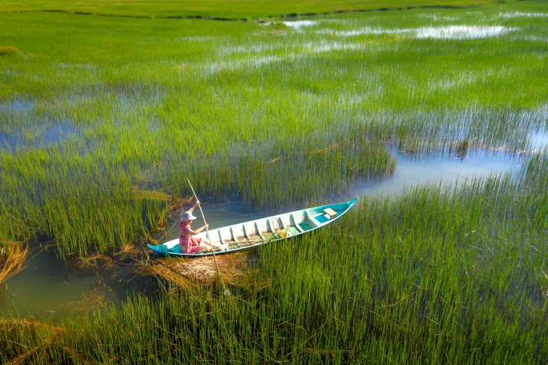 a person in a canoe traveling through tall grass