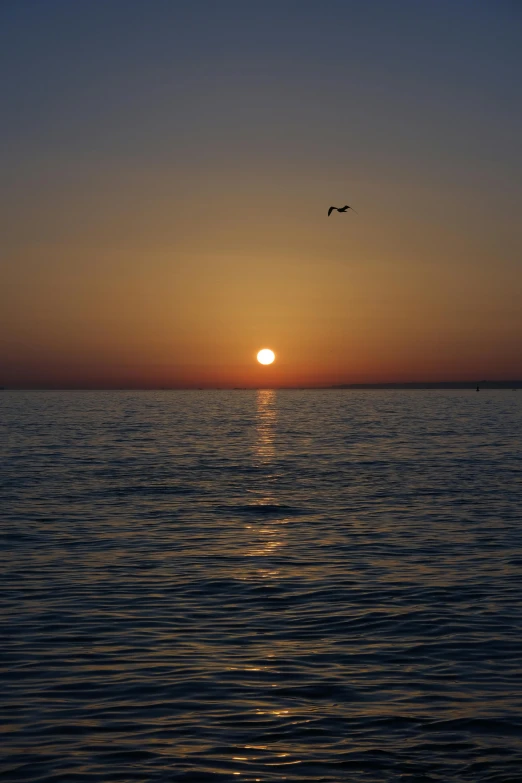 an ocean at sunrise with birds flying above