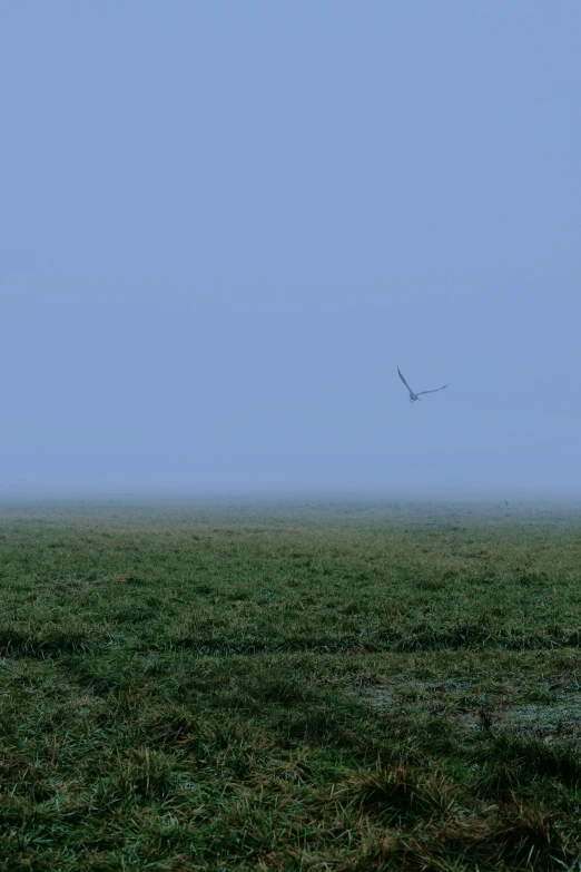 a very large plane in the sky above a big open field