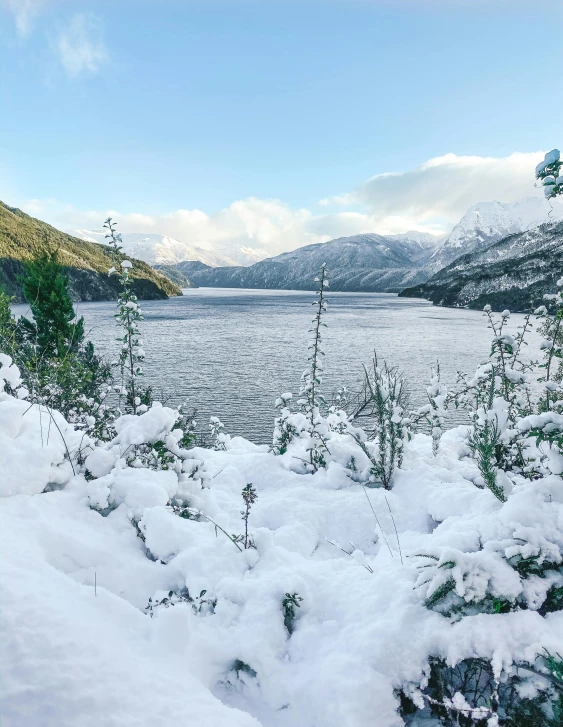 there is snow on the ground next to the water