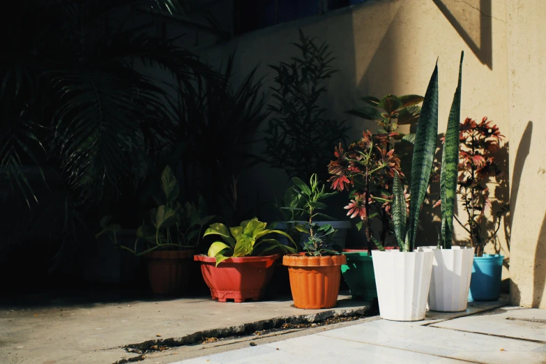 a row of colorful potted plants sitting on the side of a building