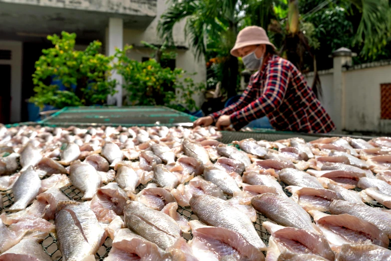 a man on a boat in front of a large pile of fish