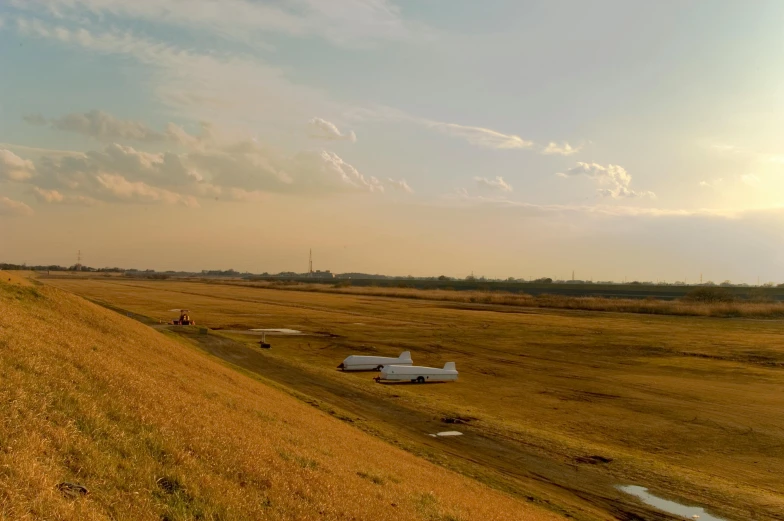 there are planes sitting in a grassy field