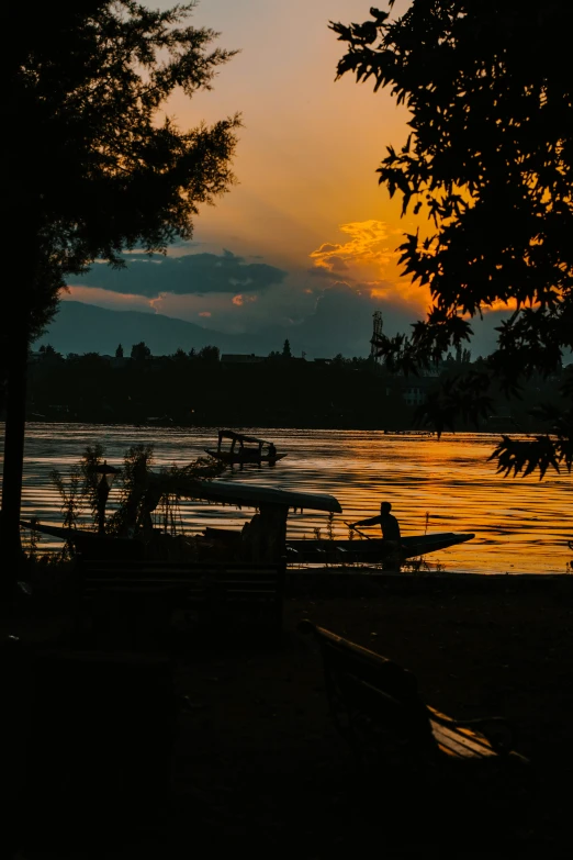 a tree in the sunset, near a lake