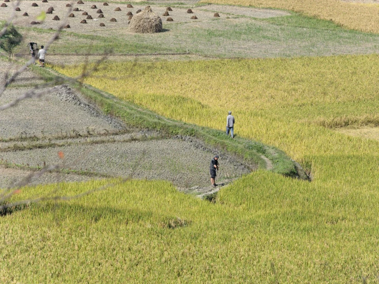 a group of people standing in the middle of a green field