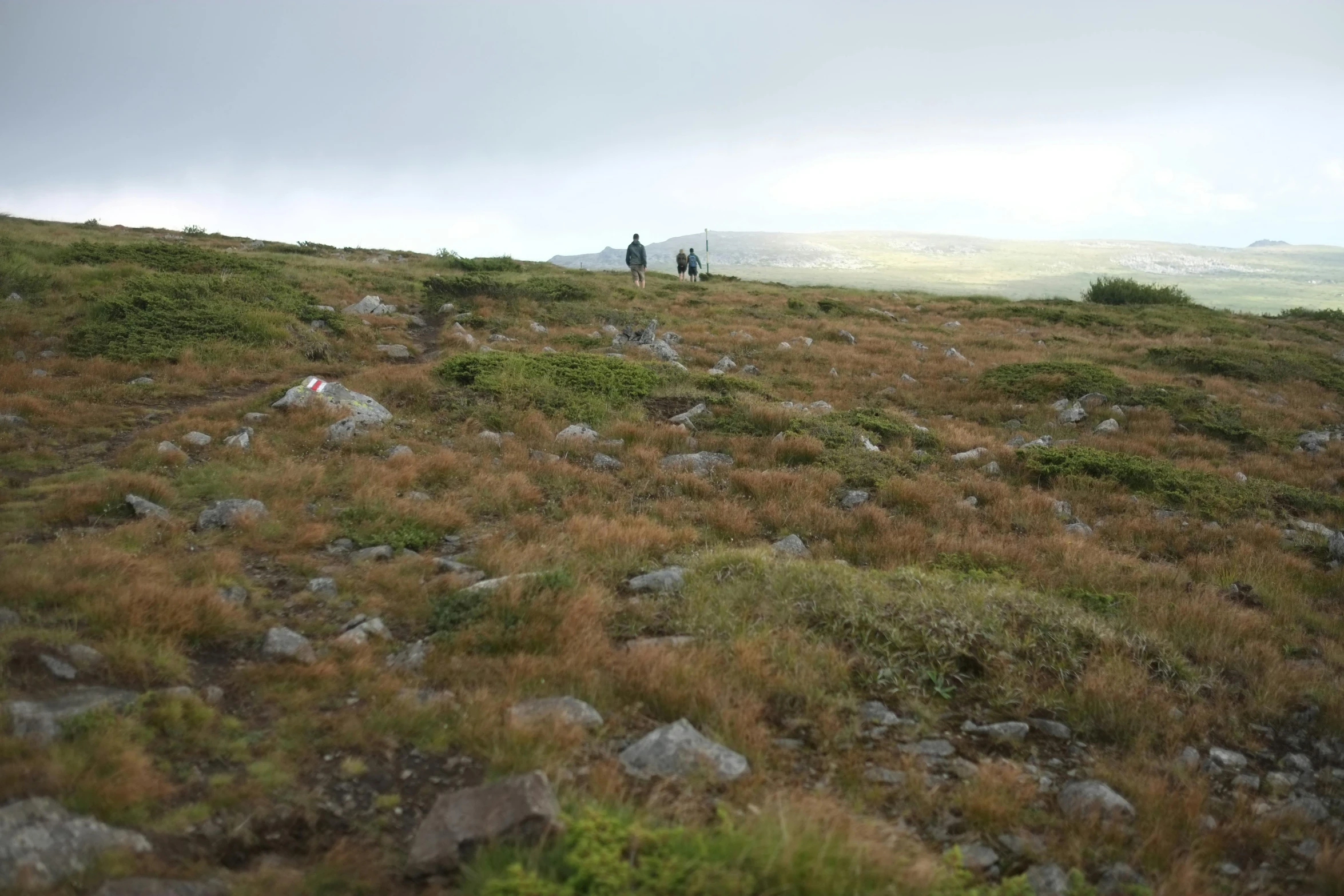 two people walking along the side of a grassy mountain