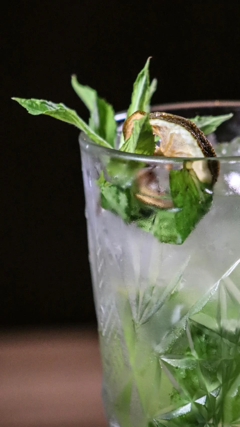 a beverage in a glass with mint and lemon