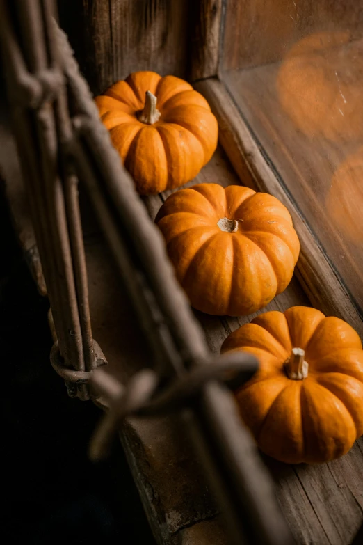 four pumpkins are placed in the same way