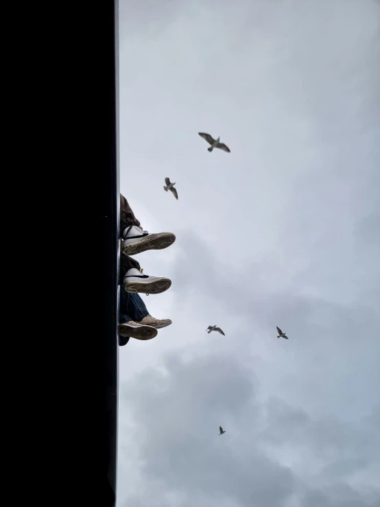 several birds flying around each other on cloudy day