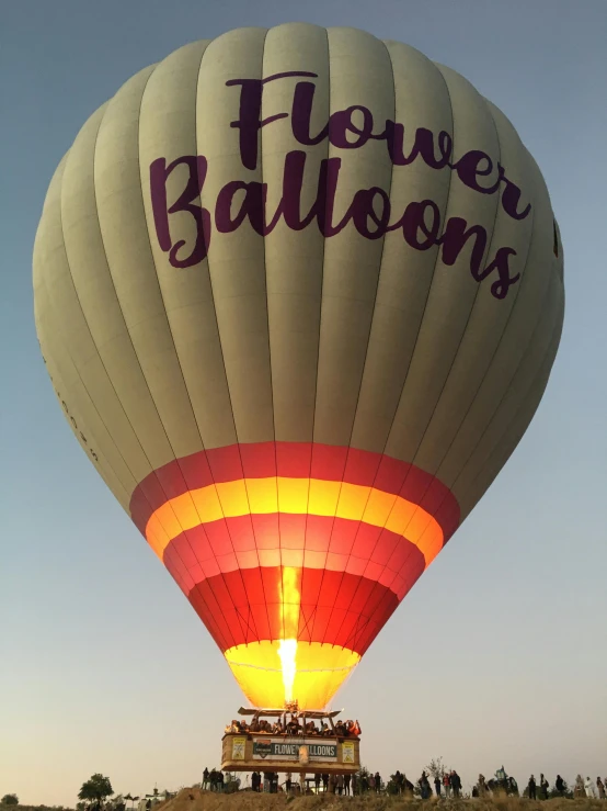 a  air balloon with the word flower balloons above it