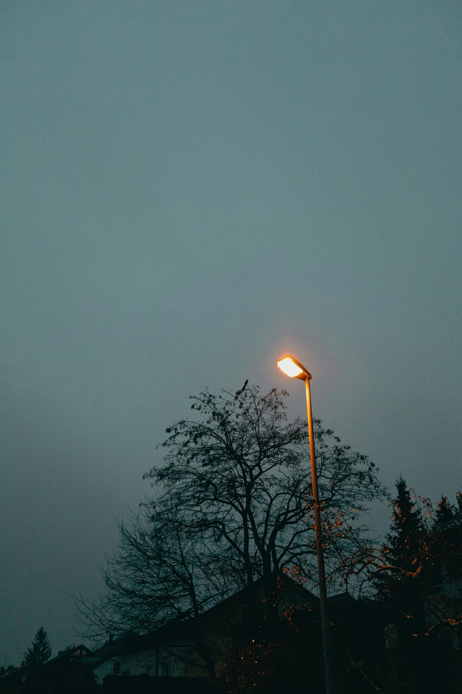 a street light with a single street sign below it