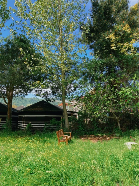 there is a bench and some trees in the yard