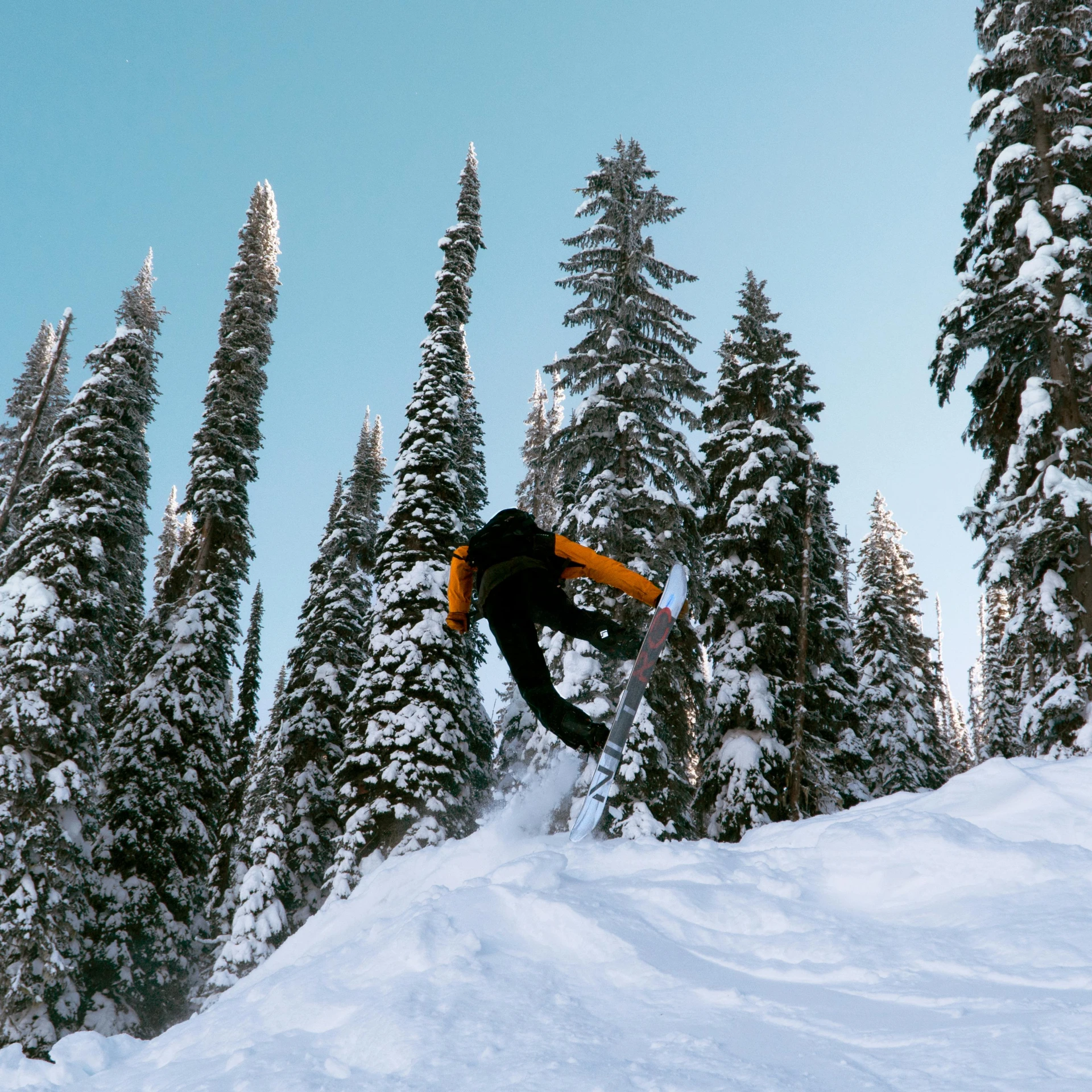 a person jumping in the air on a snowboard