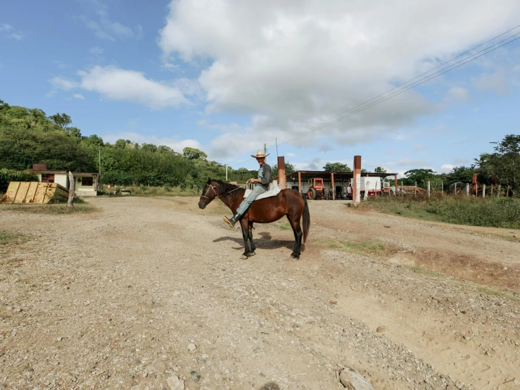 a horse is standing on the gravel road