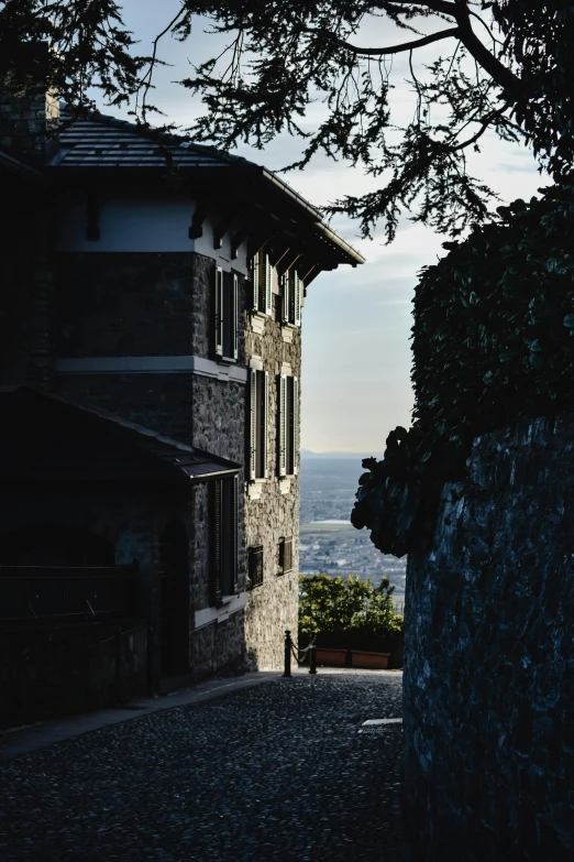 a castle type building next to a tall tree