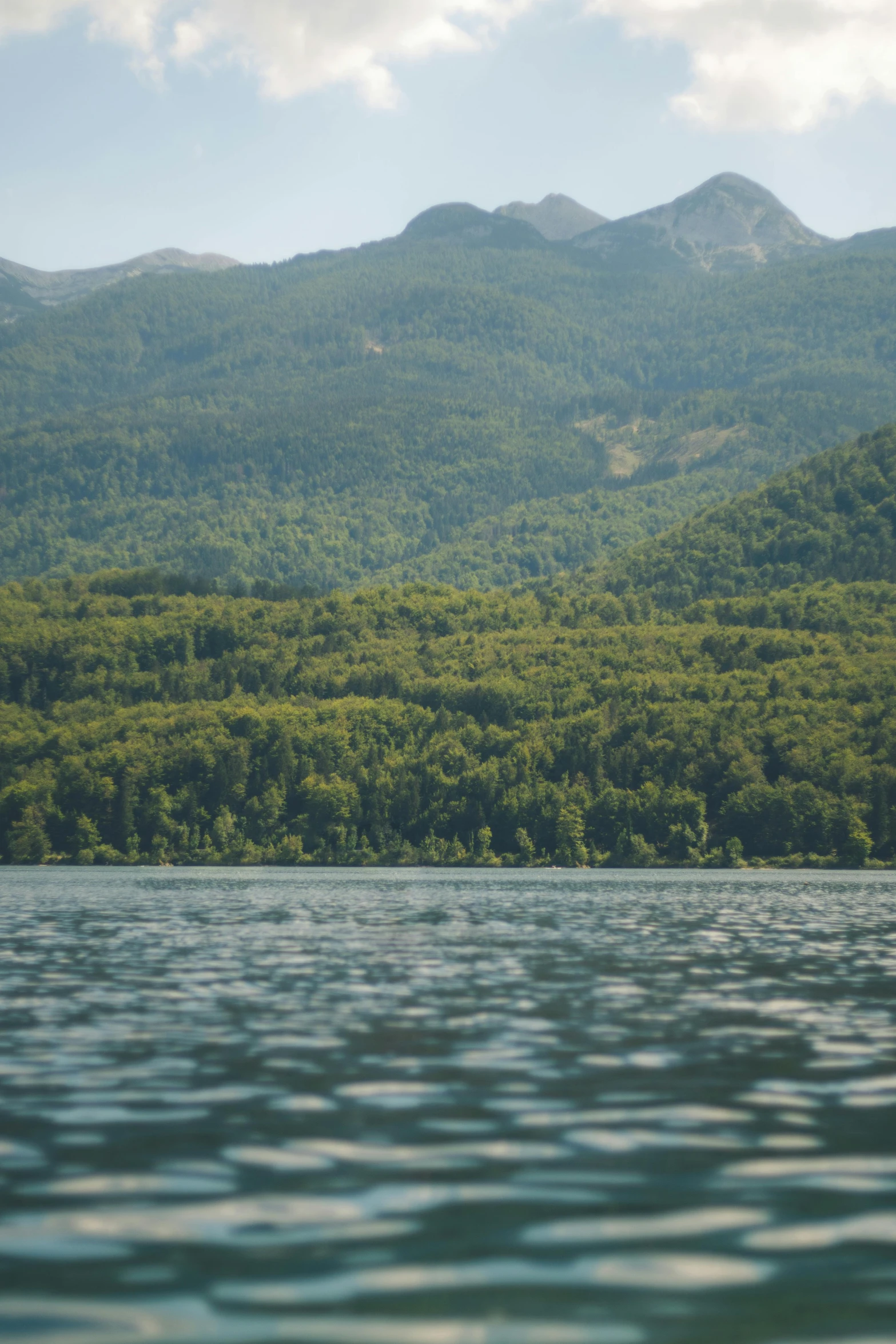 a small sail boat sitting in the middle of a lake