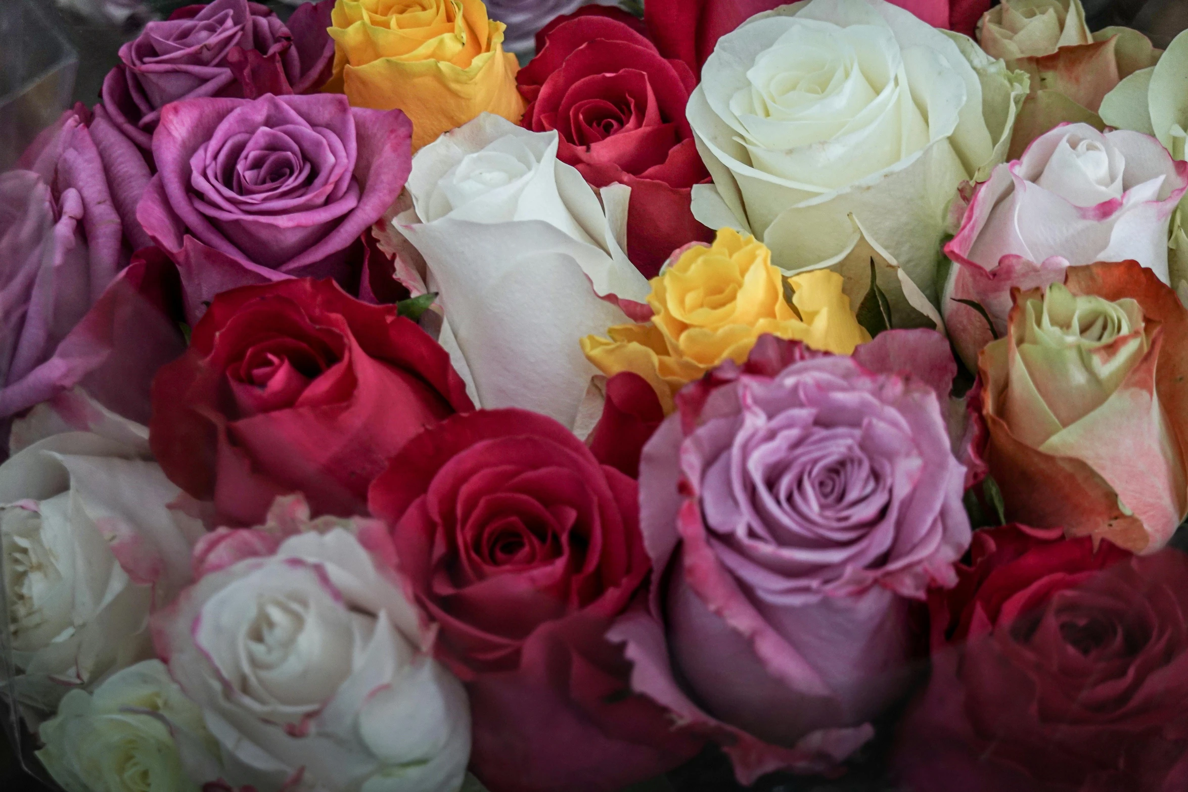 multiple color flowers in vase sitting on display