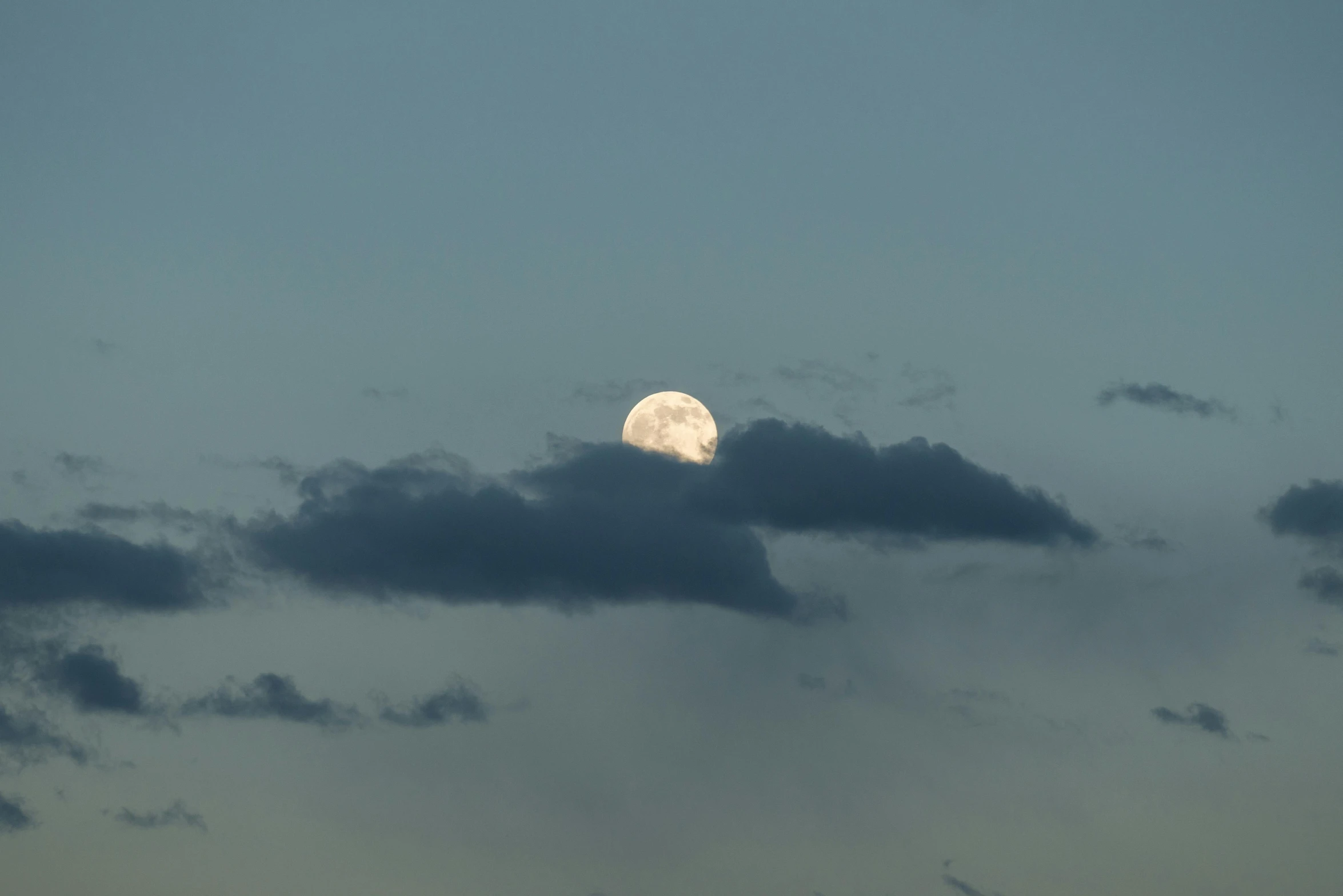 a bird flying over a moon in the clouds