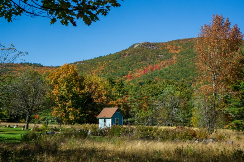 a small house in the distance surrounded by trees and bushes