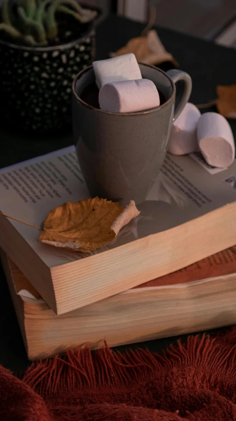 a cup of  chocolate and marshmallows on top of an open book