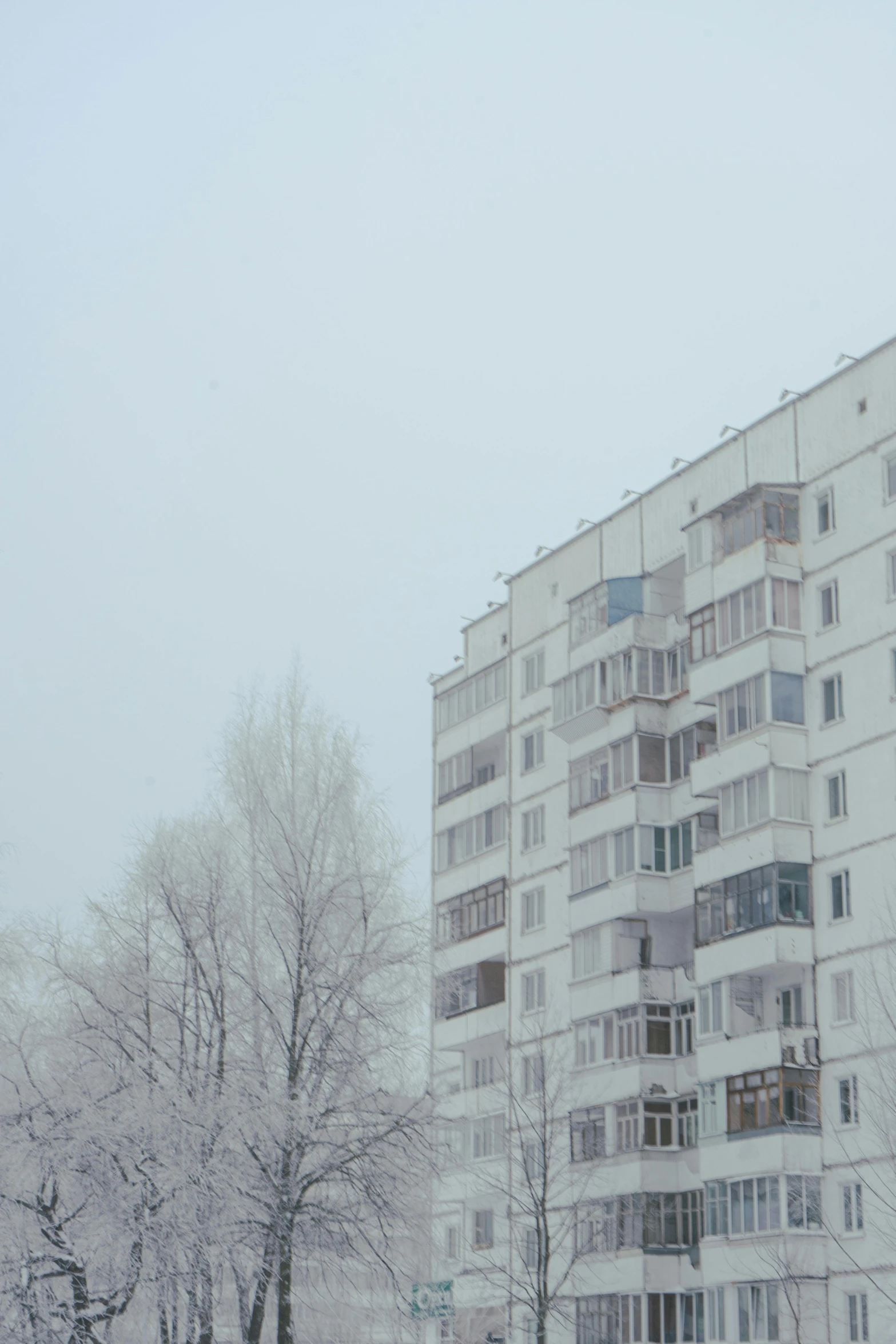 a tall building stands in the middle of winter