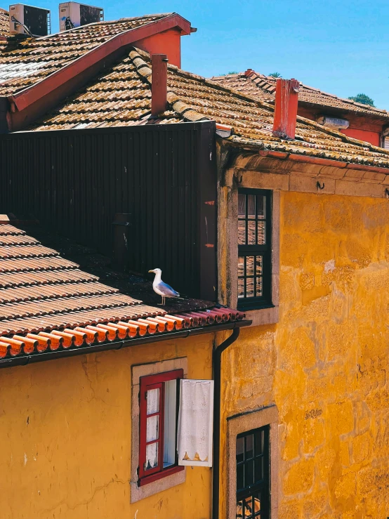 the roof of an old building with a bird on it