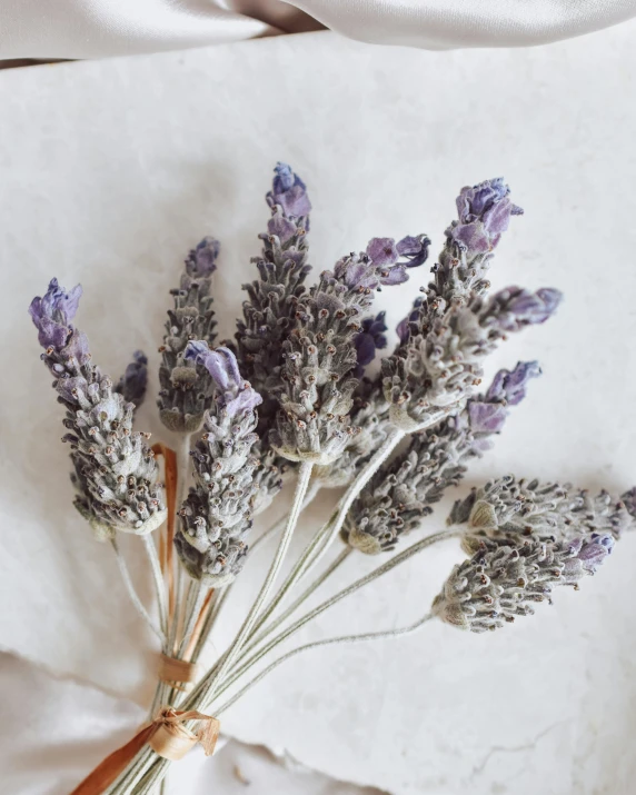 a bunch of flowers sitting on top of a white blanket