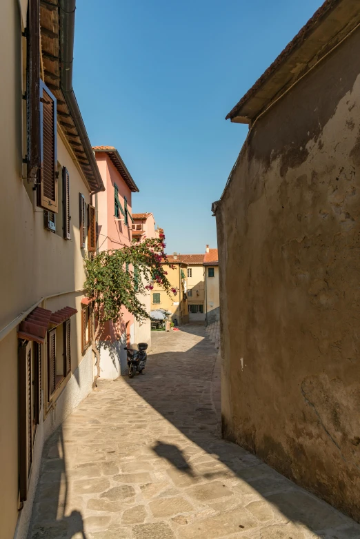 an alley between buildings with a small tree