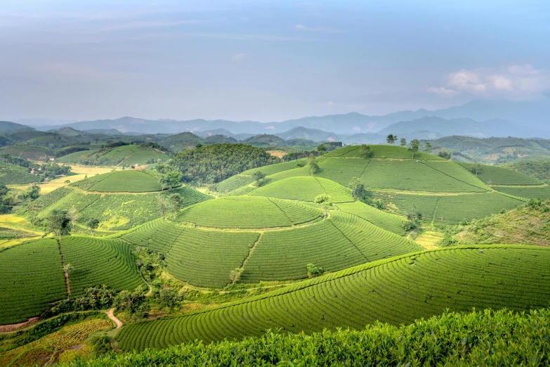 the mountains are lush and green with a hill in front