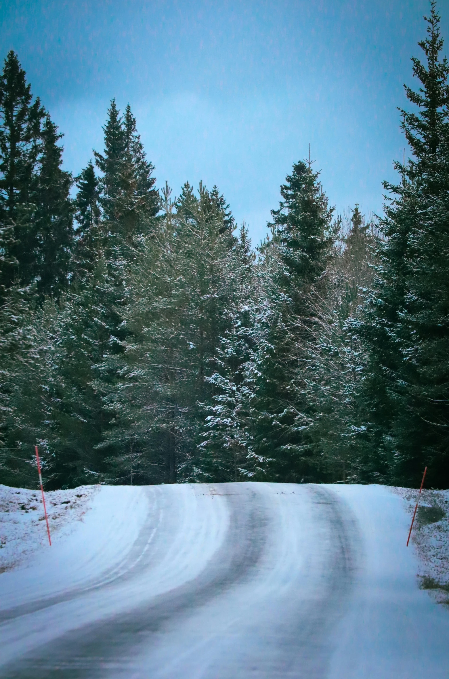 the road is very thick with snow on it