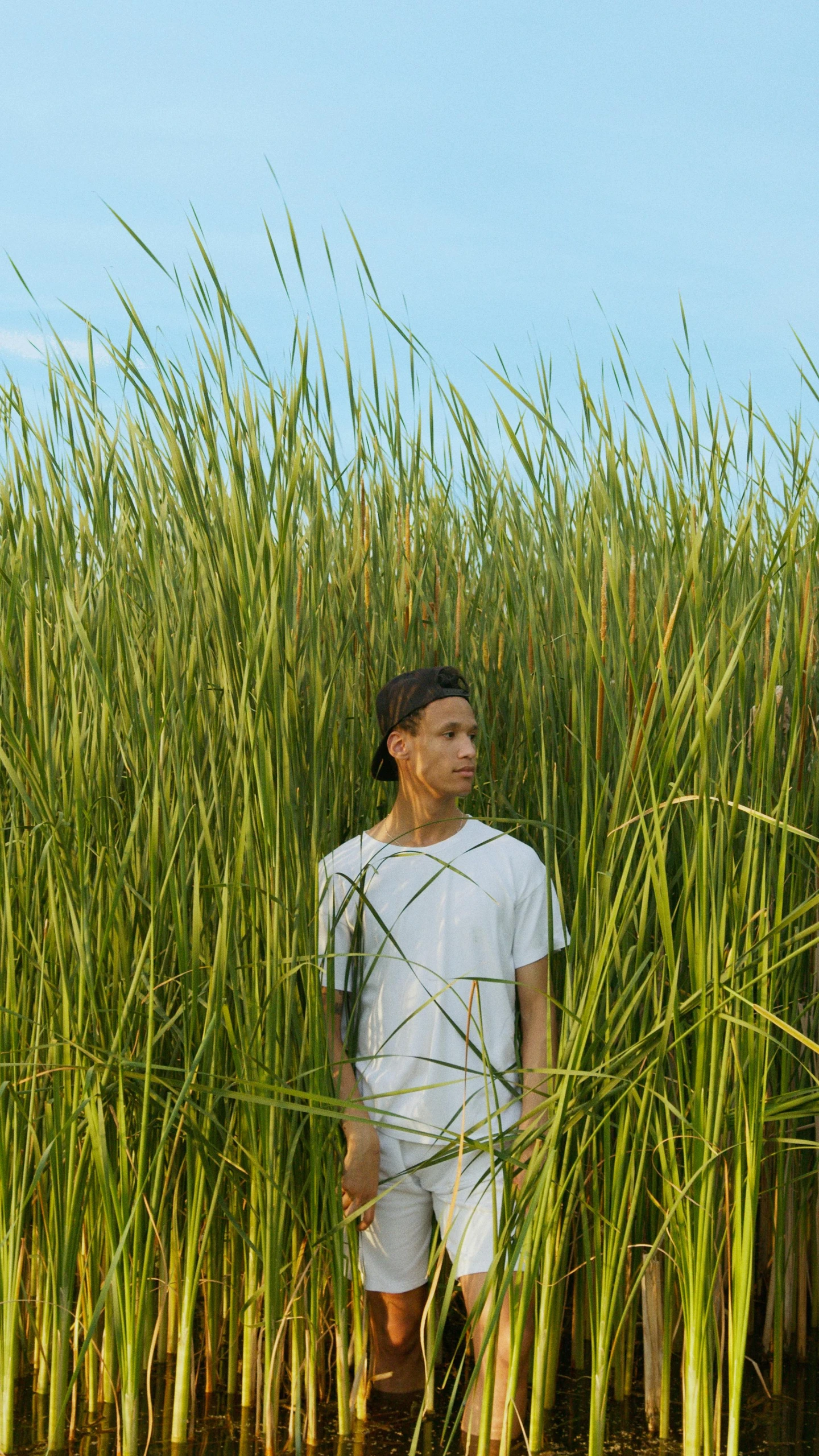 man walking in a field of tall grass