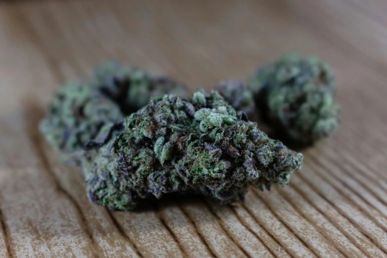 a close up of some kind of weed sitting on a table