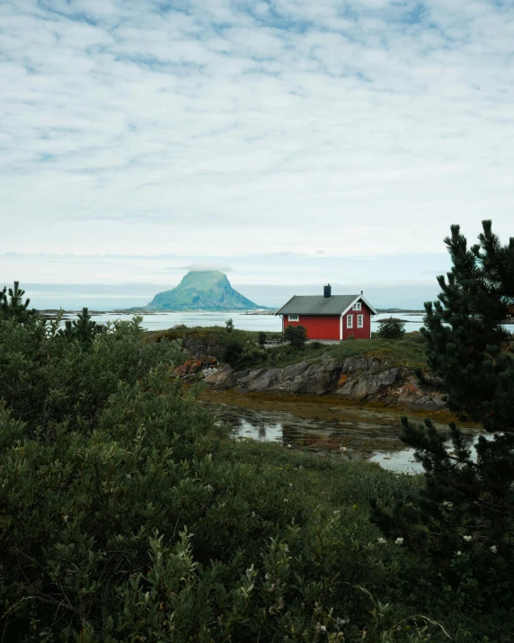 red house and lighthouse surrounded by evergreen trees